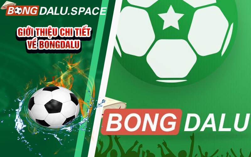 Đôi nét về Bongdalu trang thông tin dữ liệu bóng đá