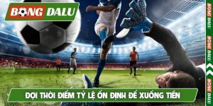 Đợi thời điểm tỷ lệ ổn định để xuống tiền