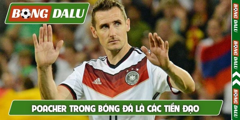 Poacher trong bóng đá là các tiền đạo